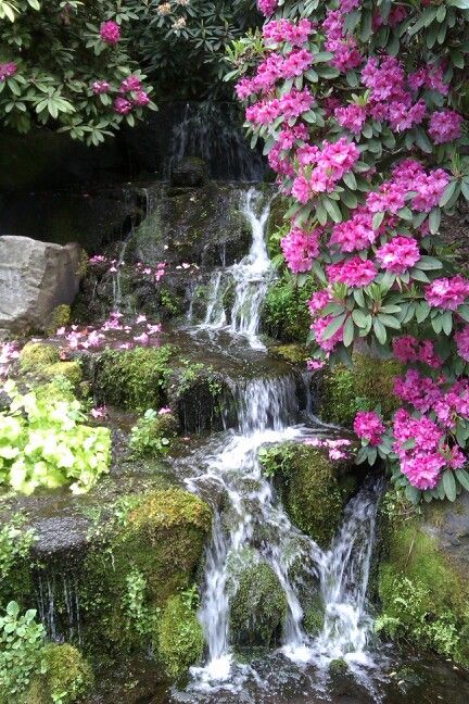 Waterfall With Flowers, Rhododendron Garden, Garden Falls, Waterfall Pictures, Beautiful Scenery Photography, Waterfalls Backyard, Waterfall Photography, Beautiful Waterfalls, Alam Yang Indah