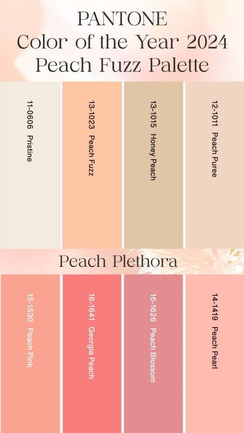 Peach Fuzz Color Outfit, Color Palette 8 Colors, Peach Color Palettes, Pantone Trends, Color Of The Year 2024, Colour Crush, Hex Color, Color Pantone, Pantone Colour Palettes