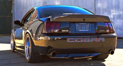 If you are a fourth generation Ford Mustang owner, this 2003 SVT Cobra Terminator build will blow your mind. It looks and sounds intimidating and makes 700whp. Svt Cobra Mustang, Cobra Terminator, 2003 Mustang, Cobra Mustang, Mustang Build, New Edge Mustang, Ford Mustang Saleen, Mustang Engine, 2003 Ford Mustang