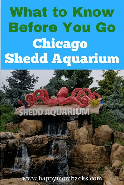 Chicago With Kids, Tropical Fish Tank, Trips For Kids, Chicago Aquarium, Aquarium Tips, Chicago Attractions, Chicago Vacation, Plane Rides, Chicago Things To Do