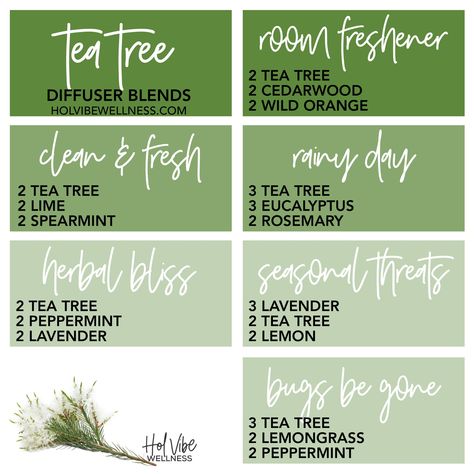 Rosemary Peppermint Essential Oil Blend, Rosemary Diffuser Blends Doterra, Rosemary Essential Oil Diffuser Blends, Grapefruit Diffuser Blend, Tea Tree Diffuser Blends, Rosemary Essential Oil Blends, Rosemary Diffuser Blends, Spearmint Diffuser Blends, Smells Like Christmas