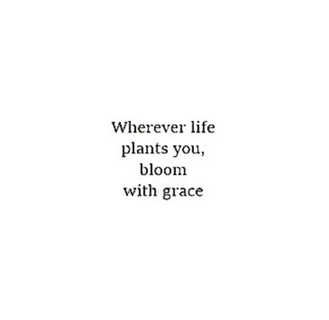 Grow Where Youre Planted Quote, Plant Growing Quotes Life, Bloom Where God Plants You, Grow Where You Are Planted Tattoo, Bloom Where You Are Planted Tattoo, Grow Where You Are Planted, Bloom Where You Are Planted Quote, Plant Quotes Life Inspiration Thoughts, Plants Quotes Life Inspiration