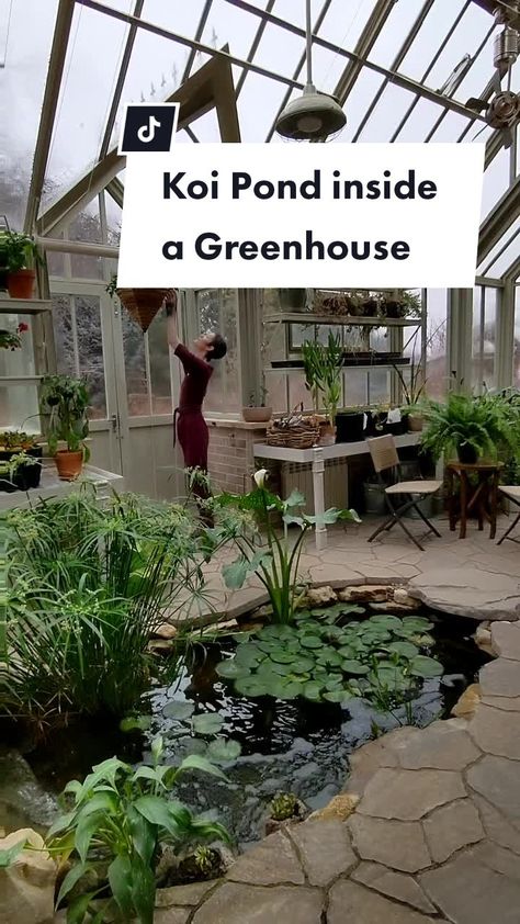 Koi Pond In Greenhouse, Pond Inside Greenhouse, Greenhouse Pond, Earth Ship, Earthship, Fish Pond, Koi Pond, Green House, Outdoor Design