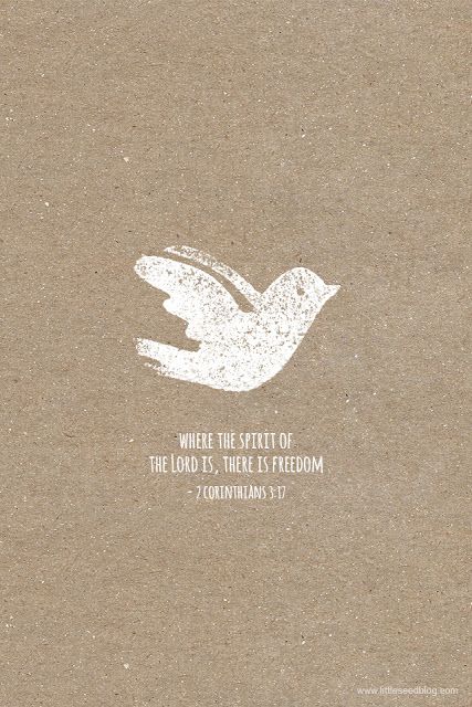 Where the Spirit of the Lord is, there is freedom. 2 Corinthians 3:7 In Christ Alone, White Dove, Verse Quotes, Bible Verses Quotes, Jesus Loves, God Is Good, The Words, The Spirit, Holy Spirit