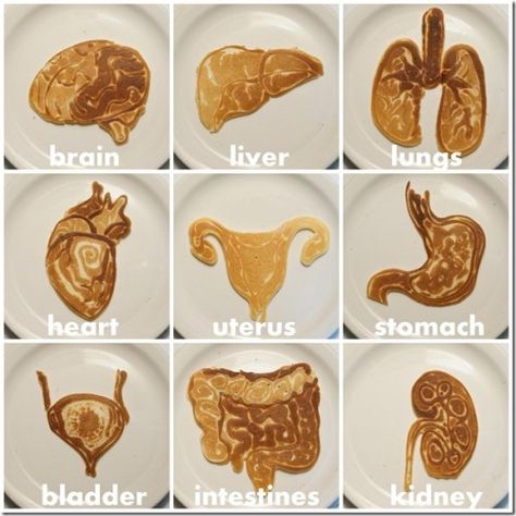 Nathan Shields is a master of the pancake craft. He creates amazingly detailed pancake images depicting marine invertebrates, Star Wars characters, dog breeds and more. Pancake Images, Pancake Drawing, Pancake Shapes, Pancake Art, Medical Humor, Body Organs, Nurse Humor, Food Art, Anatomy