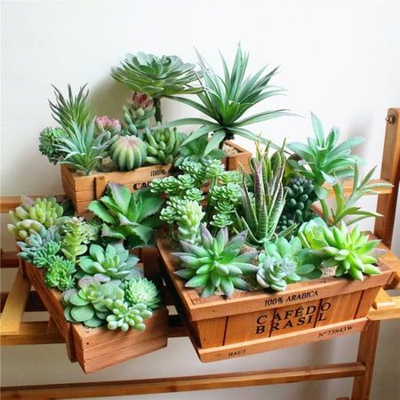 Cheap artificial plants