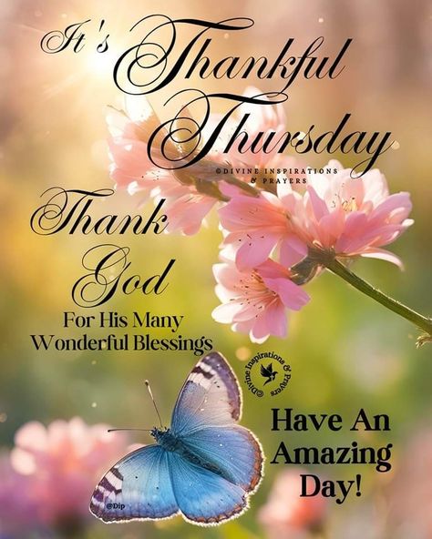 Thursday Blessings Inspiration, Divine Inspiration And Prayers, Thursday Inspiration, Thursday Greetings, Good Morning Happy Thursday, Prayer Of Thanks, Happy Birthday Cake Pictures, Good Morning Thursday, Good Morning Flowers Quotes