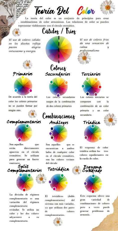 Color Theory Art, Art Painting Tools, Face Chart, Color Psychology, Color Analysis, Color Wheel, Art Tips, Color Theory, Face Painting