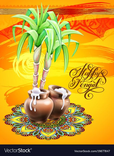 Happy Pongal Images, Funny Cow Pictures, Pongal Greetings, Pongal Greeting Cards, Sankranti Images, Wishes Board, Happy Makar Sankranti Images, Pongal Images, Winter Break Quotes