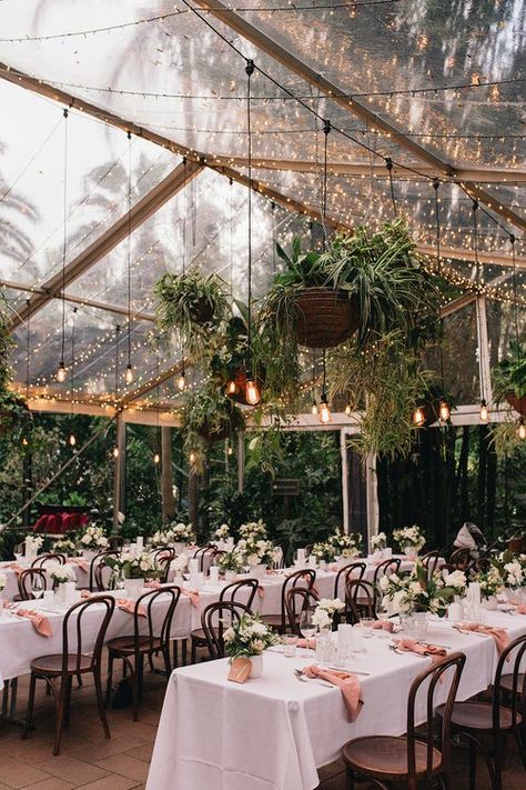 Greenery On Bar Wedding, Glass Conservatory Wedding, Bistro Lights With Greenery Wedding, Butterfly Conservatory Wedding, Lewis Ginter Botanical Garden Wedding, Villa Toscana, Micro Wedding, Wedding Vibes, Wedding Goals