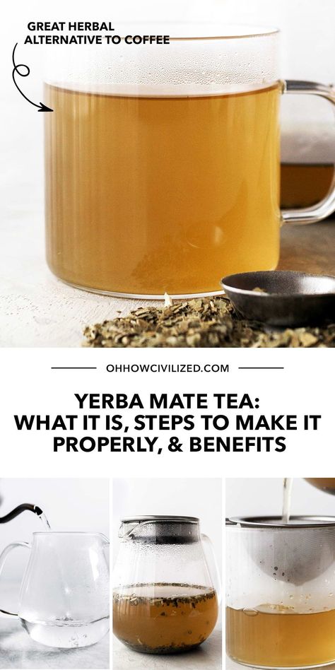 Yerba Mate Recipes, Yerba Mate Benefits, Alternative To Coffee, Hot Tea Recipes, Tea Etiquette, Making Iced Tea, Tea Drink Recipes, Easy Teas, Yerba Mate Tea