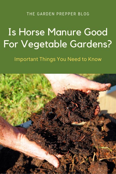 is horse manure good for vegetable gardens How To Compost Horse Manure, How To Use Horse Manure In Garden, Chicken Manure For Garden, Horse Manure Compost, Horse Manure Compost Bin, Composting Horse Manure, Horse Manure For Garden, Horse Compost, Manure For Garden