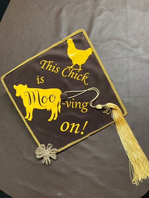 Ag Graduation Cap Ideas, Ffa Graduation Cap Ideas, Country Grad Caps, Hs Graduation Cap Ideas, Cow Graduation Cap, Animal Science Graduation Cap, Ffa Graduation Cap, Country Graduation Cap, Western Graduation Cap