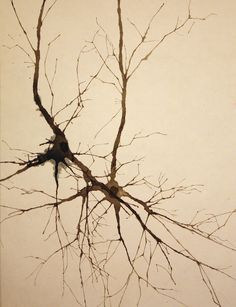 Neuron Tattoo, Greg Dunn, Science Artwork, Image Tattoo, Neuroscience Art, Phylogenetic Tree, Science Tattoo, Tattoo Leg, Brain Art