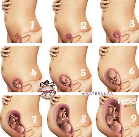 Toddler Biting, Pregnancy Hormones, Hijab Wedding, Small Computer, Prenatal Workout, Pregnancy Journey, Pregnancy Stages, Bangle Designs, Baby Bumps