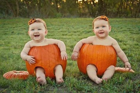 Cut out pumpkins for babies to sit in.  Cute Fall photo idea. Shelbi Williams Photography Fall Time Pictures, Babies In Pumpkins, Twin Baby Photos, Baby Holiday Photos, Minion Baby, Twin Photos, Cute Twins, Holiday Baby, Baby In Pumpkin