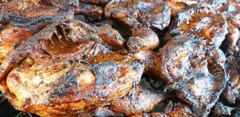 FinishedChicken Churches Chicken Recipe, Barbeque Chicken, Bbq Chicken Recipes, Bbq Meat, Bbq Sauce Recipe, Bbq Pit, Barbecue Chicken, Barbecue Recipes, Bbq Chicken