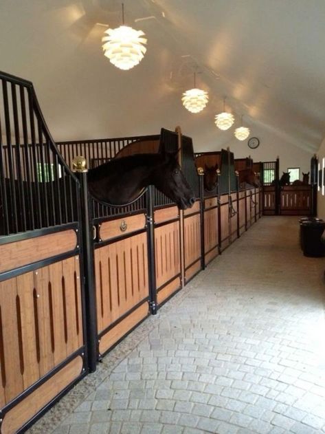 Luxury Horse Stables, Luxury Horse Barns, Dream Barn Stables, Horse Riding Aesthetic, Horsey Life, Horse Barn Ideas Stables, Horse Barn Designs, Dream Stables, Dream Horse Barns