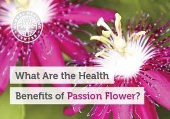 What Are the Health Benefits of Passion Flower? | Wake Up World Passion Flower Benefits, Passion Flower Tea, Herbal Healing, Essential Oil Benefits, Fruit Flowers, Sleep Aid, Oil Benefits, Passion Flower, Healing Herbs