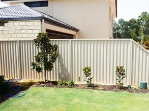 Fencing Plinths from All Perth Fencing Fence Screening Ideas, Sheet Metal Fence, Screening Ideas, Fencing And Gates, Weatherboard House, Fence Screening, Fencing & Gates, Australian Garden, Metal Fence