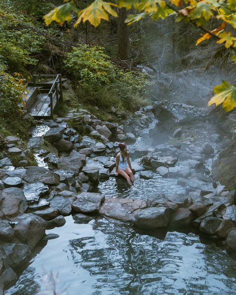 How to get to Cougar Hot Springs: Guide to Hot Springs near Eugene Natural Hot Springs, Southern Oregon Coast, Oregon Hikes, Spring Camping, Warm Springs, Kenai Fjords, Travel Bucket List Usa, Adventure Guide, Wellness Travel