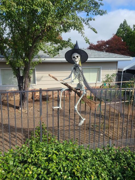 Outdoor Skeleton Display, Skelton Ideas, Skeleton Displays, Skeleton Poses, Skeleton Ideas, Creepy Halloween Props, Halloween Yard Displays, Witch Skeleton, Skeleton Witch