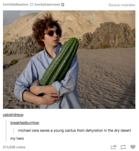 Michael Cera, The Magic, A Man, Cactus, For Sale, Green