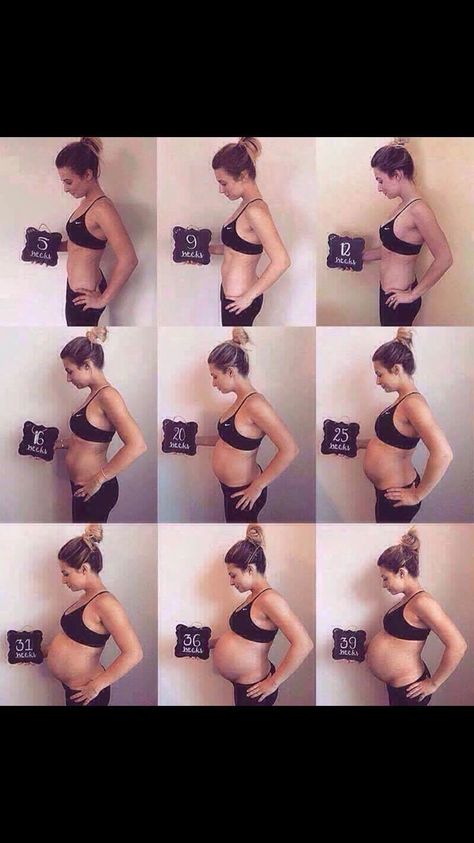 15 Weeks Pregnant Belly, Pregnancy Progress Pictures, Bump Progression, Weekly Pregnancy Photos, Baby Bump Progression, 15 Weeks Pregnant, Baby Bump Pictures, Pregnancy Belly Photos, Pregnancy Progression