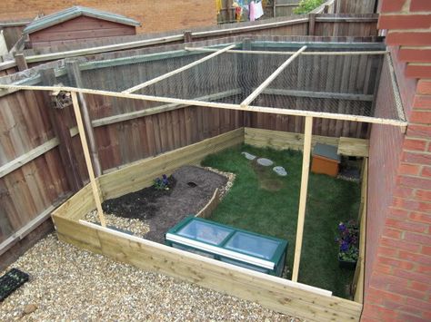 Outdoor Habitat for Tortoise | After approx 1200 staples later the enclosure is finally preditor ... Enclosed Tortoise Habitat, Outdoor Tortoise Enclosure, Tortoise Cage, Turtle Enclosure, Russian Tortoise Diet, Outdoor Enclosure, Tortoise House, Tortoise Enclosure, Tortoise Table