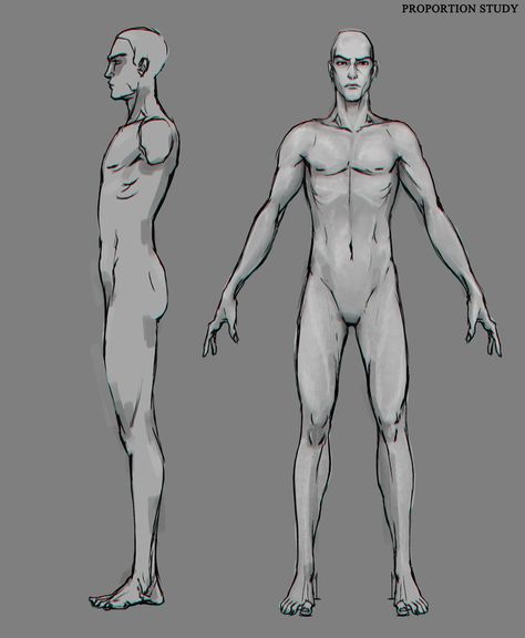 Pose Sheet, Animated Anatomy, Blender Character Modeling, Character Customization, Male Reference, Anna Cattish, Human Base, Character Reference Sheet, Character Turnaround