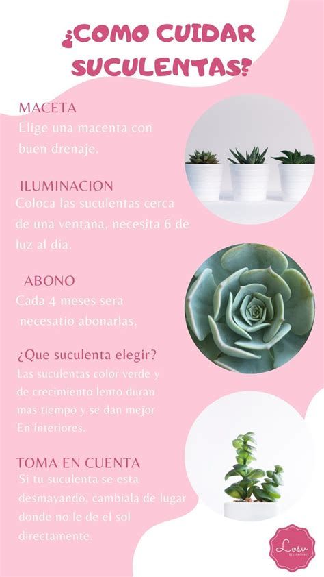 7 Ideas De Plantas Buenas Y Malas | Plantas, Jardineria Y Outside Plants, Vegetable Garden Diy, Vertical Garden Diy, Plants Are Friends, Plants Garden, Cactus Y Suculentas, Natural Garden, House Plants Indoor, Cactus And Succulents