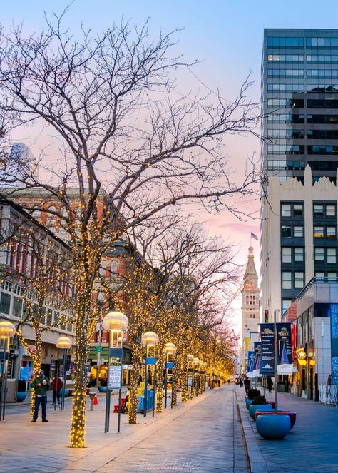 Denver's 16th Street mall Daniel Forster Photography 16th Street Mall Denver, Denver Winter, City Reference, Moving To Denver, Street Mall, Vacation Places, Colorado Springs, City View, Wyoming