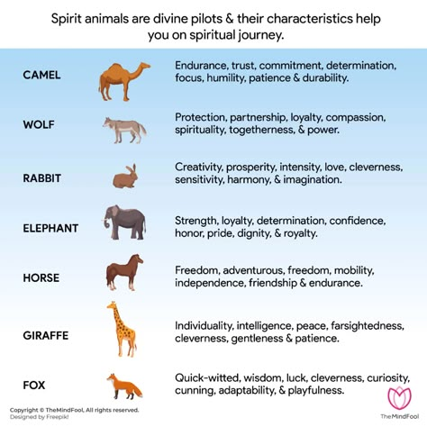 54 Spirit Animal List | Spirit Animal List and Their Meanings | TheMindFool Animal Omens Meaning, Animal Guides Spiritual, Animal Meanings Tattoos, Spiritual Animal Meanings, Spirit Animal List, Animals And Their Meanings, Animal Omens, Animal Totem Spirit Guides, Animal List