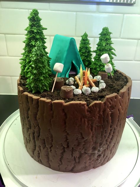 Camping Party Cake, Mountain Cake Birthday, Wilderness Cake, Camping Cake Ideas, Camping Themed Cake, Forest Theme Cakes, Camping Theme Cakes, Bonfire Cake, Camping Birthday Cake