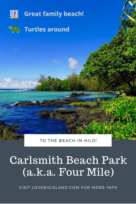 Carlsmith Beach Park, Hawaiian Cruise, Big Island Travel, Hawaiian Cruises, Green Sand Beach, Princess Cruise, The Big Island, Beach Park, Big Island Hawaii