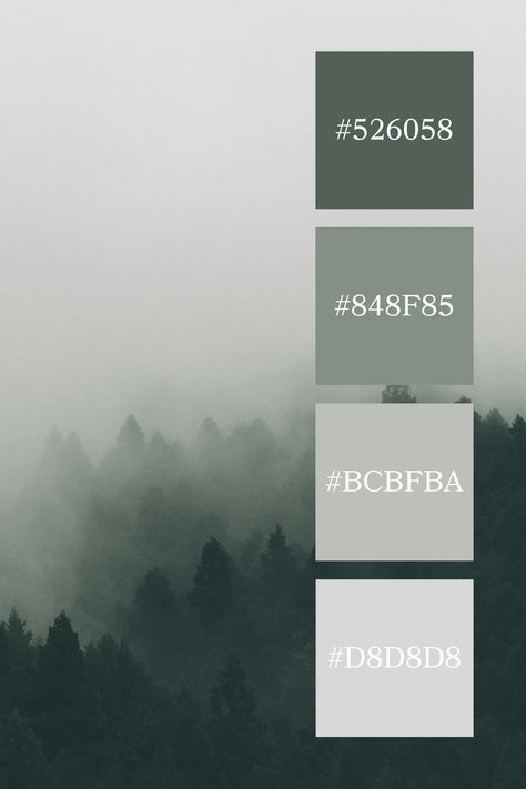 A misty forest scene with layers of trees fading into the fog, creating a tranquil gray-green color palette that captures the quiet and mysterious beauty of nature enveloped in mist. Gray Green Color Palette, Color Palette Code, Color Scheme Generator, Mysterious Beauty, Code Color, Green Color Palette, Green Interior Design, Color Design Inspiration, Forest Color