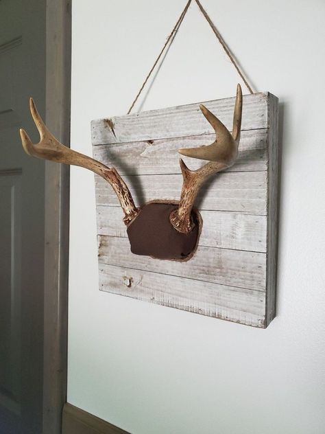 DIY Fabric Covered Antler Mount   My husband and son are hunters and have antlers they would like to display. I don't love the look Deer Antler Mount Ideas Display, Antler Diy Projects, Antler Mount Ideas, Antlers Diy, Grandkids Bedroom, Antler Mounts, Rustic Projects, Diy Antlers, Antler Display