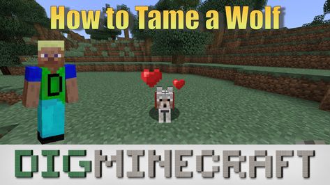 Learn how to tame a wolf (and turn it into your pet dog) in #Minecraft in this youtube video Pet Wolf, How To Give, A Wolf, How To Turn, A Name, Your Pet, Baseball Field, Pet Dog, Youtube Video