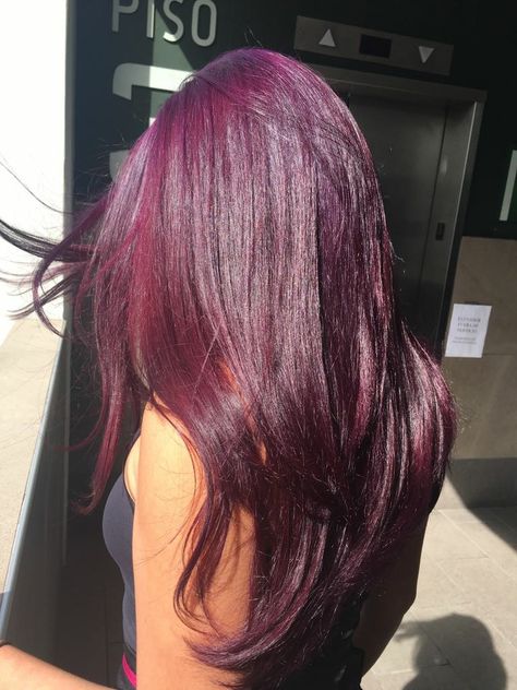 Red Violet Hair Cherry Red And Purple Hair, Purple Red Tinted Hair, Maroon Violet Hair, Cherry Red Purple Hair, Haircuts With Red Hair, Purplish Red Hair Color, Dark Reddish Purple Hair, Redish Purplish Hair, Dark Purple And Red Hair