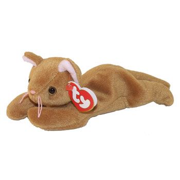 Ty Plushies, Childhood Core, Cat Beanie Baby, Baby Beenies, Mha Dr, Beanie Baby Bears, Baby Wish List, Baby Wishlist, Cat Beanie