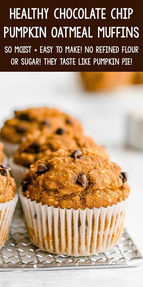 Low Cal Pumpkin Muffins, Healthy Pumpkin Chocolate Chip Muffins, Chocolate Chip Oatmeal Muffins, Greek Yogurt Pumpkin, Easy Pumpkin Oatmeal, Pumpkin Chocolate Chip Muffin Recipe, Healthy Chocolate Chip Muffins, Moist Pumpkin Muffins, Pumpkin Protein Muffins