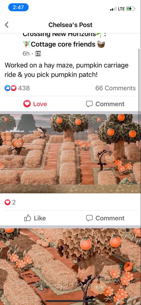 Acnh Hay Maze, Acnh Corn Maze, Acnh Pumpkin Patch Ideas, Animal Crossing Farmcore, Acnh Pumpkin, Animal Crossing Autumn, Fall Acnh, Halloween Acnh, Acnh Spooky