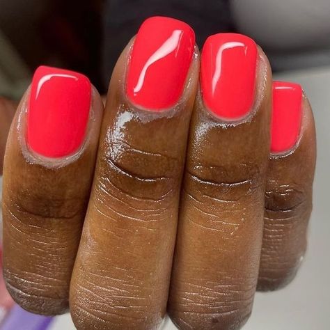 Daisy Nail Designs, INC. on Instagram: "This gorgeous pop of coral makes us want to transport to somewhere tropical 🌴 #Guava DND811 🍉🍉🍉" Dnd 811 Guava, Guava Nails, Daisy Nail Designs, Coral Nail Polish, Dnd Gel Polish, Coral Nails, Daisy Nails, Makeup Nails, Gel Polish