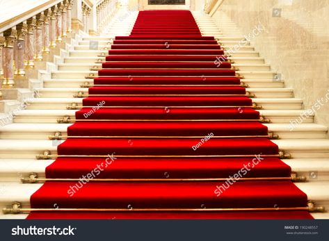 Red Carpet Stairs, Red Carpet Backdrop, Custom Backdrops, Seamless Backdrop, Stage Backdrop, Marketing News, Red Carpets, Wedding Photography Studio, Wall Carpet