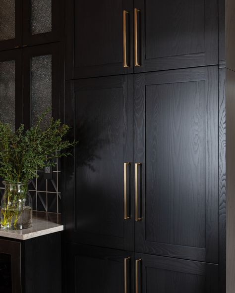 Black Doors With Brass Hardware, Black Inset Kitchen Cabinets, Black Stained Built Ins, Black Kitchen Cabinets Brass Hardware, Black Cabinet Brass Hardware, Black Wood Cabinet, Black Kitchen Brass Hardware, Black Cabinets With Brass Hardware, Black Stained Bathroom Cabinets