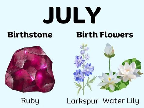 July Month Birthstone and Birth Flowers July 7th Zodiac, July Symbols, Month Personality, Birth Month Personality, Birth Month Symbols, July Birth Month, July Month, People Facts, July Birth Flower