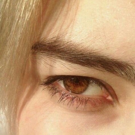 𝕴𝖈𝖊𝖑𝖆𝖓𝖉 𝕱𝖔ş Fox Eye Aesthetic, Pupil Shapes, Eye References, Brown Eyes Aesthetic, Emma Carstairs, Eye Reference, When They Cry, The Dark Artifices, Aesthetic Eyes