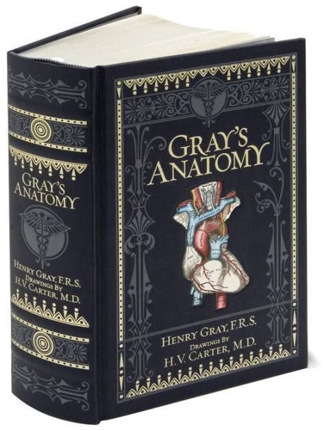 Greys Anatomy Book, Book Anatomy, Second Hand Bookstore, Gray's Anatomy, Mythology Books, Leather Bound Books, Anatomy Drawing, Ex Machina, Barnes And Noble