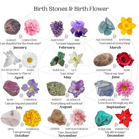 Chakras Affirmations, Birth Signs, Fantasy Story Ideas, Birthday Stone, Succulent Garden Diy, Zodiac Stones, Flower Meanings, Astrology Art, Happy Soul