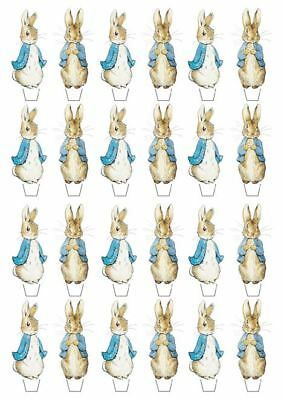 Flopsy Bunny, Peter Rabbit Cake, Beatrice Potter, Peter Rabbit Birthday, Peter Rabbit Party, Peter Rabbit And Friends, Rabbit Cake, Edible Toppers, Edible Cupcake Toppers